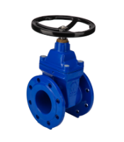 Cast Iron Gate Valve with Flanges
